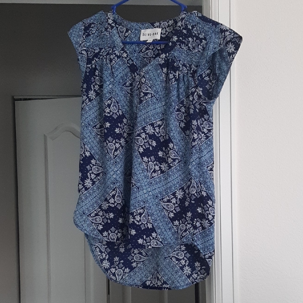 Olive + Oak Blue Tunic Cap Sleeve Blouse